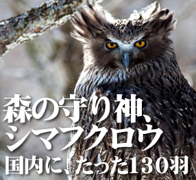 �X�̎��_�A�V�}�t�N���E �����ɁA������130�H