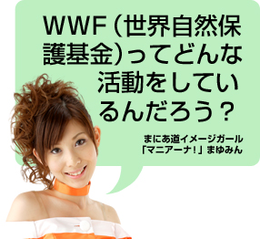 WWF(���E���R�ی���)���Ăǂ�Ȋ��������Ă���񂾂낤�H�܂ɂ����C���[�W�K�[����}�j�A�[�i�I��܂�݂�