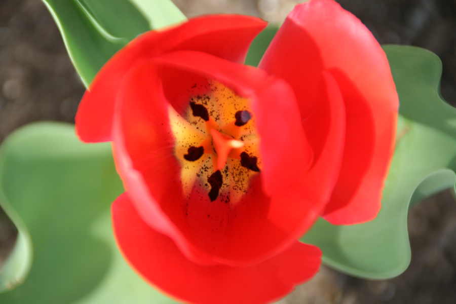 ���`���[���b�v�ʐ^�B�e�J�ԎB����Ԍ�