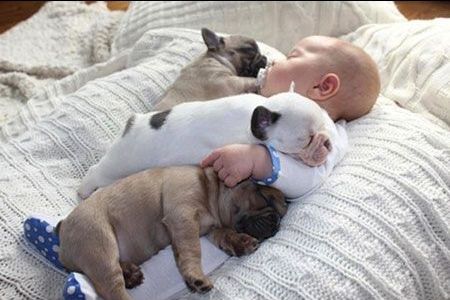 �q���Ԃ���񒇗ǂ��摜���������Q�ʐ^����