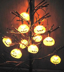 10���C�g�V���C�j���O�p���v�L��