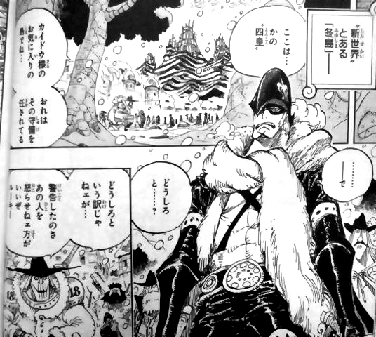 カイドウ傘下の海賊アイアンボーイスコッチ両肩に18冬島