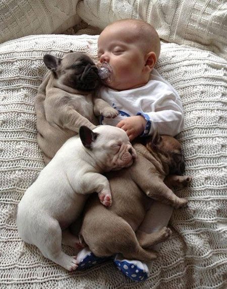 �q���Ԃ���񒇗ǂ��摜���������Q�ʐ^����