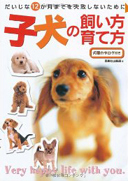 �q���̎��������ĕ���������12�����܂ł����s���Ȃ����߂�