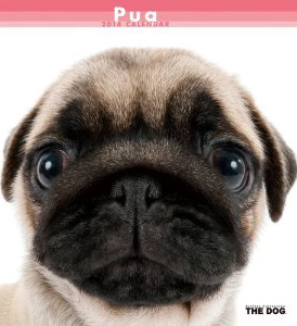 �p�O�J�����_�[2014�N