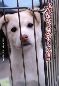 ����������������\���̖��A�D�ɂȂ邽�߂ɐ��܂�Ă����񂶂�Ȃ�