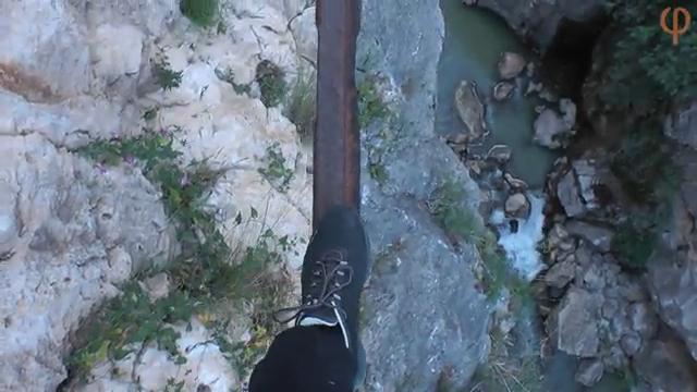 ���̏���(�G����J�~�j�[�g��f������C)