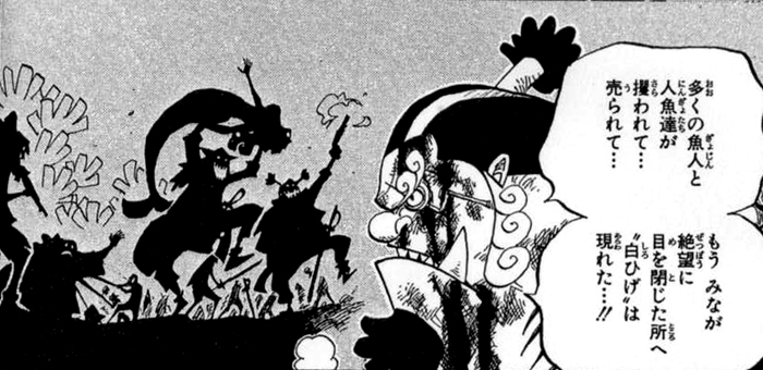 魚人島とはどんな所か