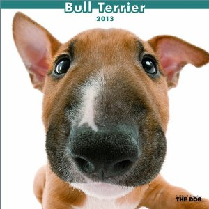 �u���e���A �J�����_�[2013�N