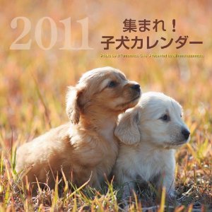 2011�W�܂�I�q���J�����_�[