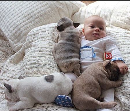 �q���Ԃ���񒇗ǂ��摜���������Q�ʐ^����