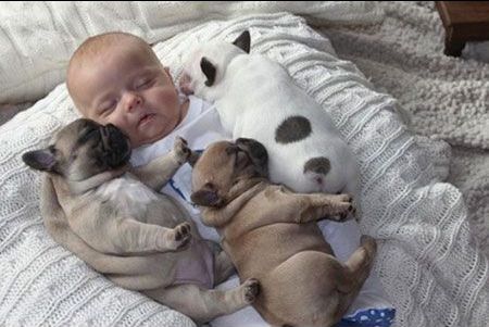 �q���Ԃ���񒇗ǂ��摜���������Q�ʐ^����