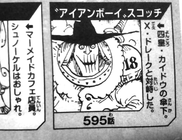 カイドウ傘下の海賊アイアンボーイスコッチ両肩に18冬島