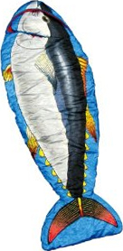 �}�O���Q��