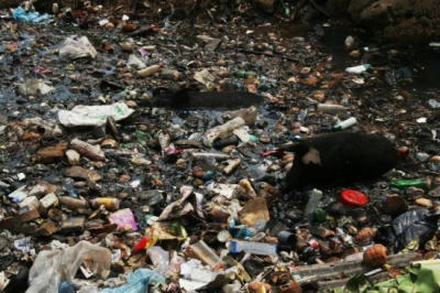 �Ռ����W�r�㍑�v���X�`�b�N�S�~