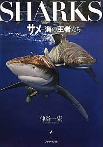 �T�� �C�̉��҂���