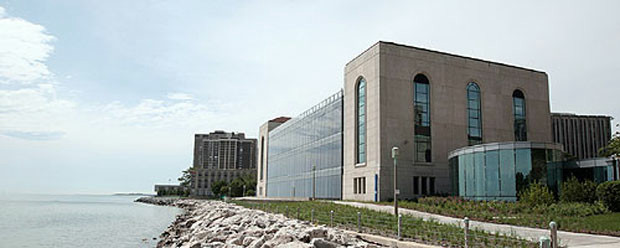 �A�����J�ōł��J�b�R������w�̐}����