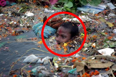 �Ռ��I�c��ȗʂ̃v���X�`�b�N�S�~�ɖ�����Ă��܂������W�r�㍑�� �Ƃ��鐅�ӂ̗l�q