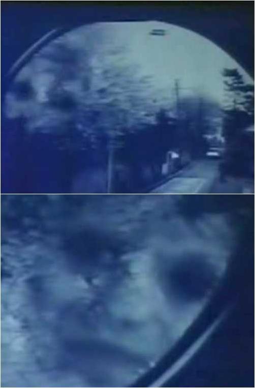 �g�̖т��悾�S��ʐ^�܂Ƃ߁I�{������!!