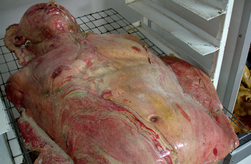 �l�̃p�[�c�^�̎��̃p��