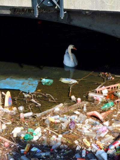 �Ռ����W�r�㍑�v���X�`�b�N�S�~