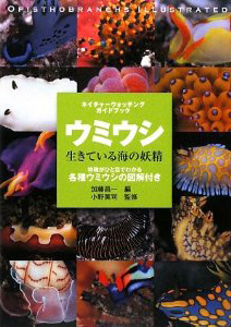 �E�~�E�V�\�����Ă���C�̗d��