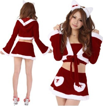 �T���^�R�X�`���[�� �N���X�}�X�R�X�`���[�� �R�X�v��