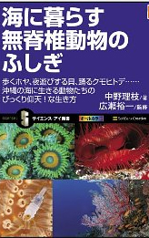 �C�ɕ�炷���Ғœ����̂ӂ��� �����z���A��V�т���L�A�x��N���q�g�f�c�c����̊C�ɐ����铮�������̂т�����V�I�Ȑ�����