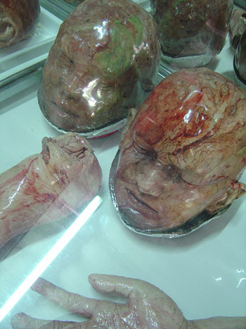 �l�̃p�[�c�^�̎��̃p��