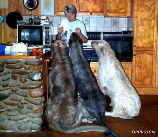 ���E�̒���^���摜