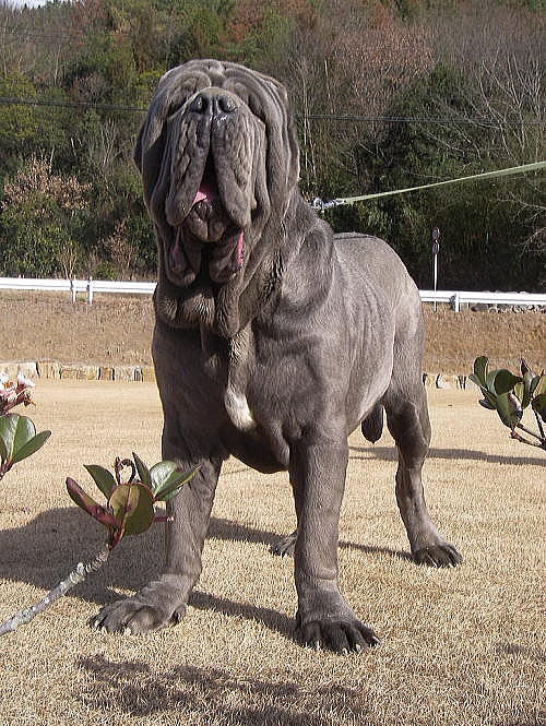 ���E�̒���^���摜