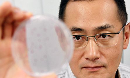 �w�m�[�x���܂͓��{�Ƃ���������܂����xiPS�זE���������̎R���L�틳���̃R�����g������