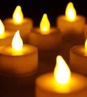 �G�݂̃q�|�@LED�e�B�[���C�g�L�����h��8����