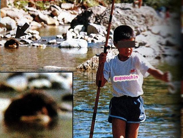 �g�̖т��悾�S��ʐ^�܂Ƃ߁I�{������!!