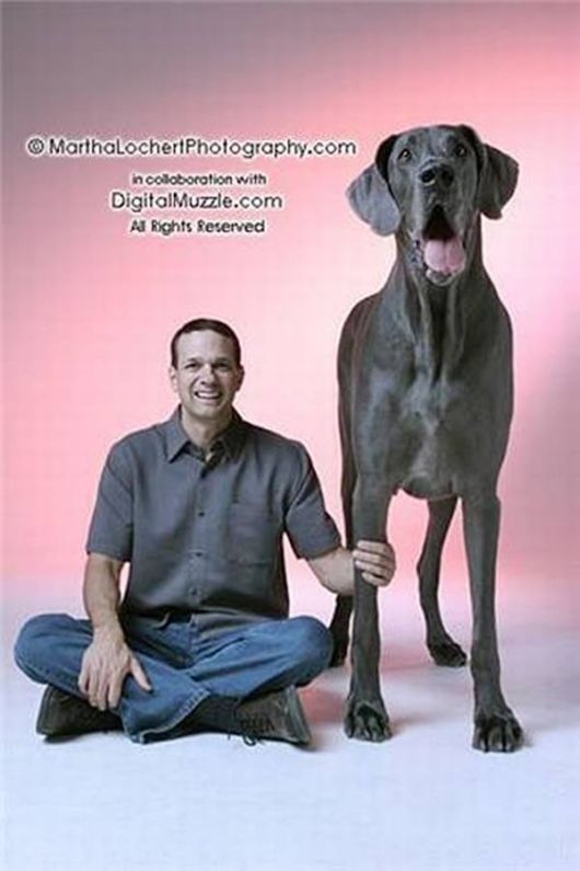 ���E�̒���^���摜