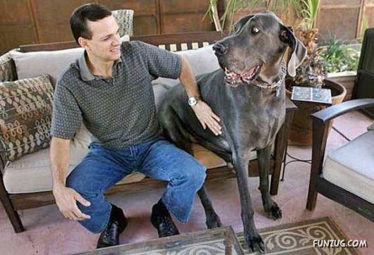 ���E�̒���^���摜