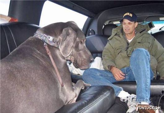 ���E�̒���^���摜