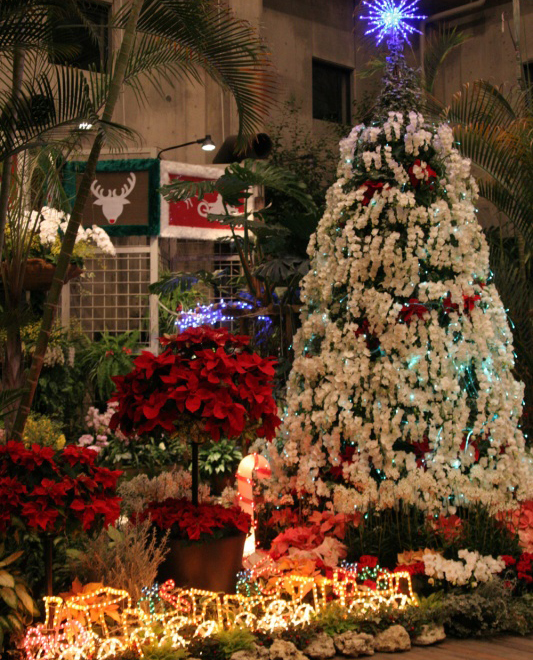 �����̊ف@����ăT���^�̃t�@���^�W�b�NXmas