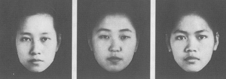 �����A�؍��A�^�C�̏����̕��ϊ�