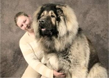 ���E�̒���^���摜