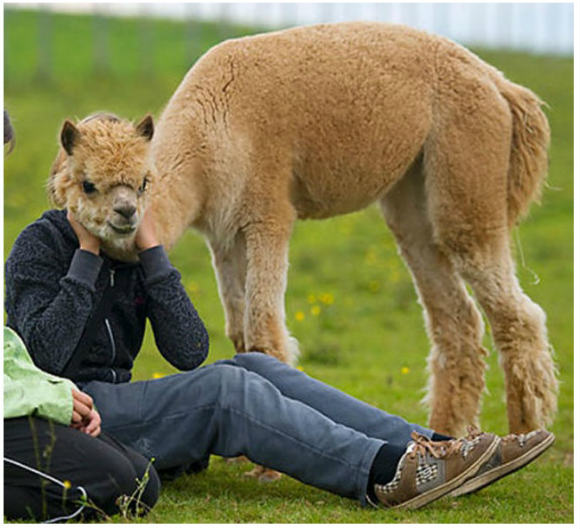 ����I�A���p�J�l��