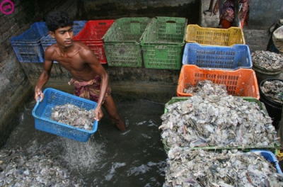 �Ռ����W�r�㍑�v���X�`�b�N�S�~