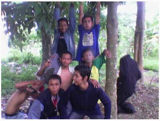 �{�����ۂ��S��ʐ^�I�{������