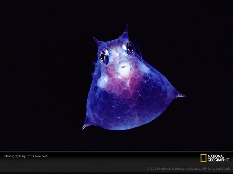 �[�C����E�~�E�V�Ȃ��Y��ȊC�̐���