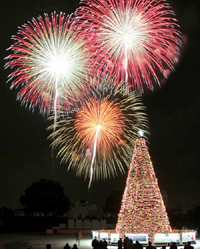 �X�^�[�����C�g ���r���[ 2010