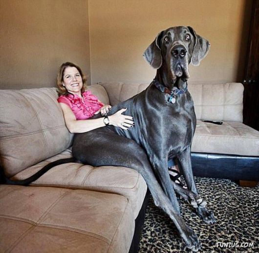 ���E�̒���^���摜