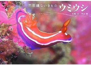 �E�~�E�V�\�s�v�c�Ȃ�������