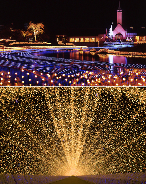 �Ȃ΂Ȃ̗� �E�B���^�[�C���~�l�[�V���� �~�؂̋���