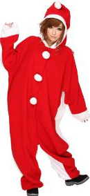 �T���^�R�X�`���[�� �N���X�}�X�R�X�`���[�� �R�X�v��