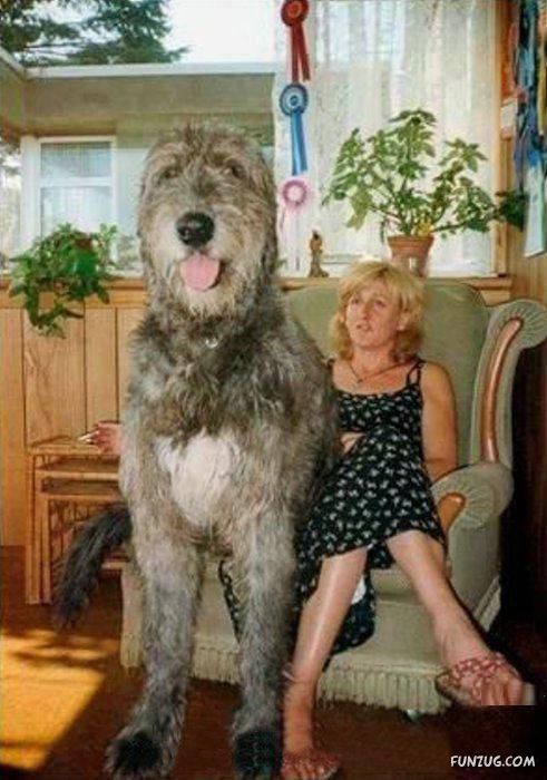 ���E�̒���^���摜